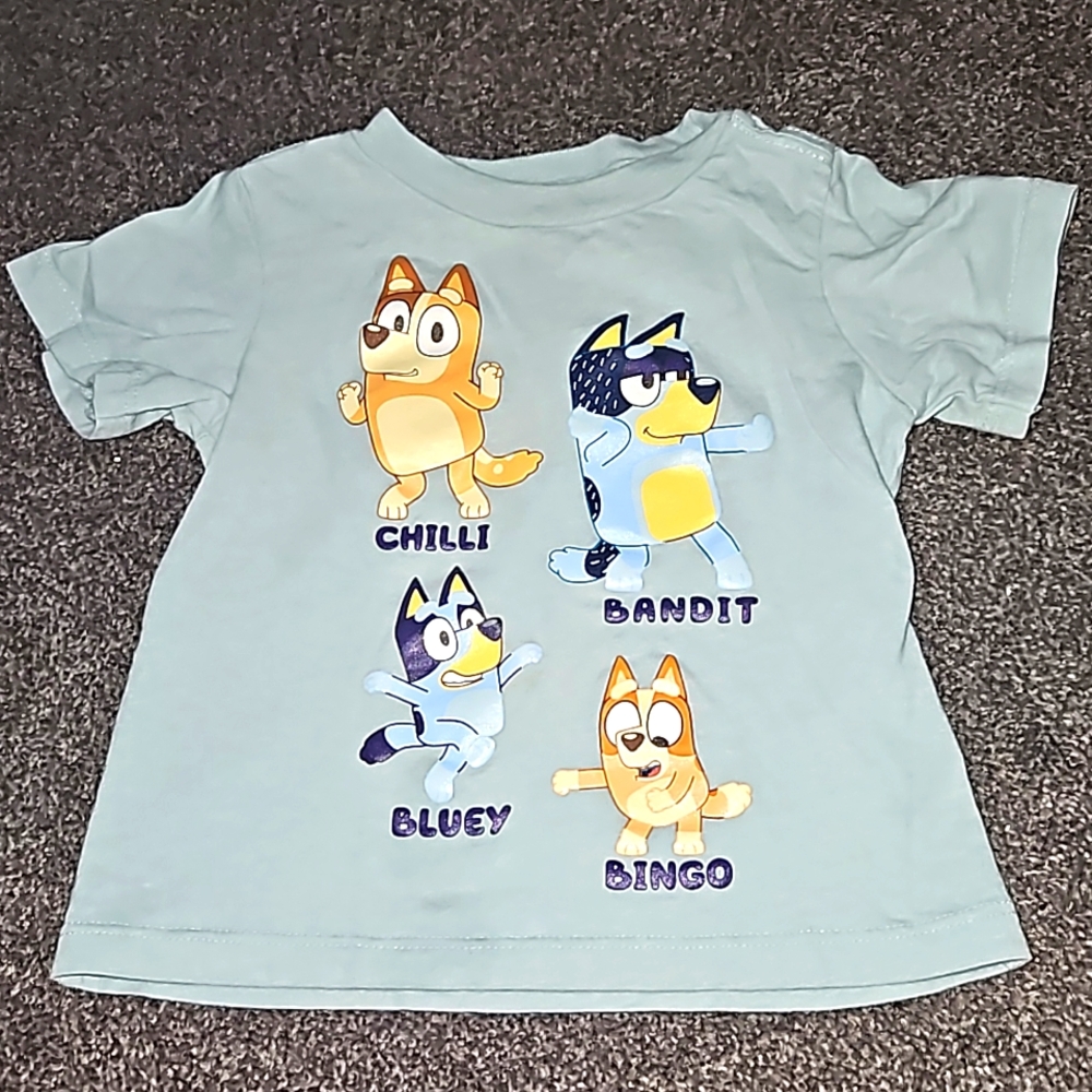 12 month Bluey themed short sleeved shirt
